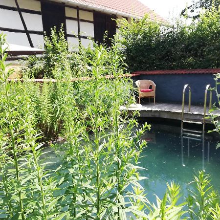 Haselbachstrasse 6 Apartment Ebensfeld ภายนอก รูปภาพ